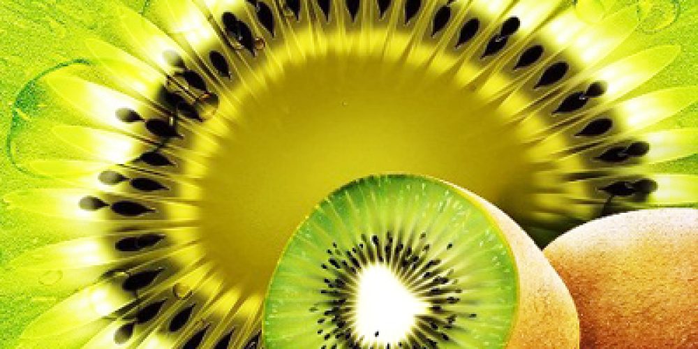 Un Cancro distrugge le piante di Kiwi è allarme tra gli agricoltori