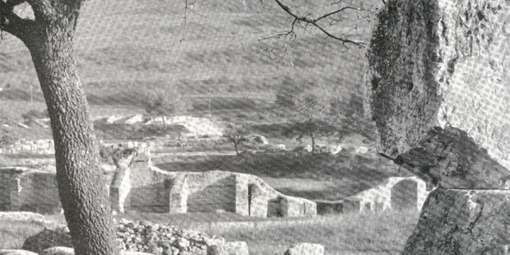 Carsulae Wood. Come rimboschire un sito archeologico