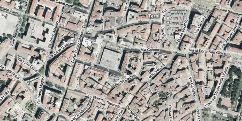 Terni insufficiente gestione del verde pubblico
