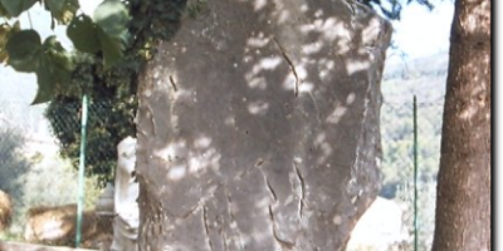 Menhir di Nicciano (TR)